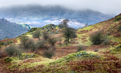 Lakeland Scene by Christa Campling - CP 3rd