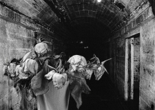 Echoes of Decay by Martin Bodsworth - MPI 3rd